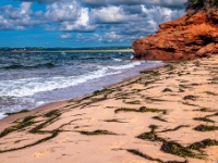 Red Point Provincial Park